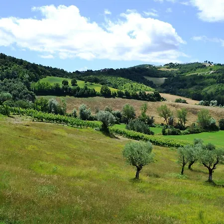 Agriturismo Marano *