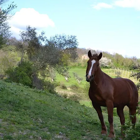 Agriturismo Marano *